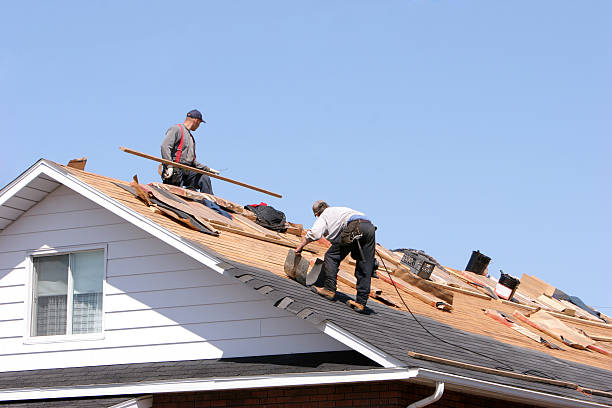 Best Roof Maintenance and Cleaning  in Brighton, IL